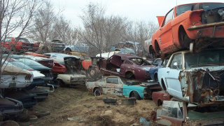 Illustration for article titled Is This The World's Largest Vintage Mustang Junkyard?